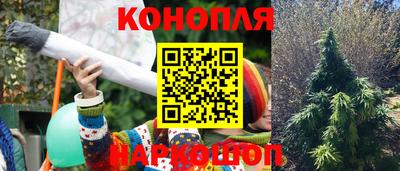 прущие крисы Коммунар